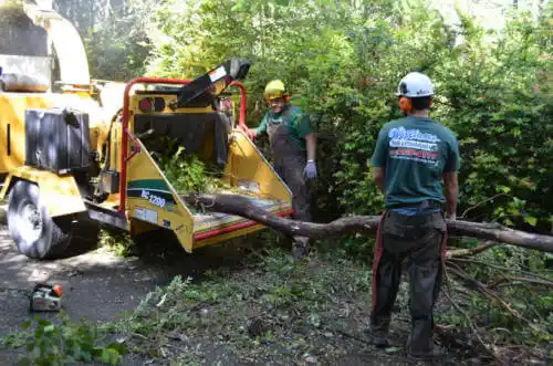 tree services Fox River